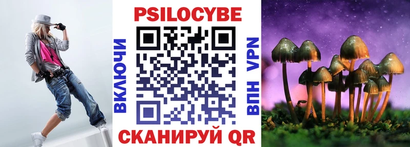 Галлюциногенные грибы Psilocybe  где найти наркотики  Отрадный 